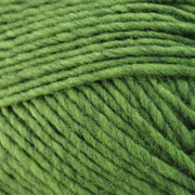 Lanaloft Worsted