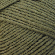 Lanaloft Worsted