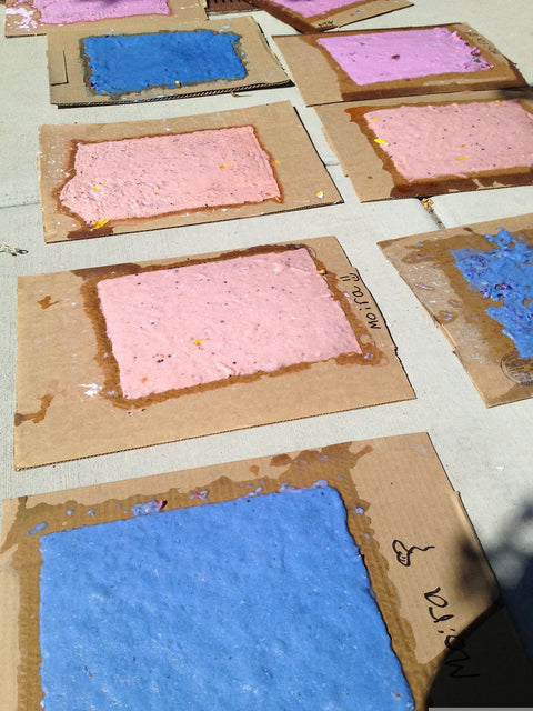 July 17: Paper Making from Pulp