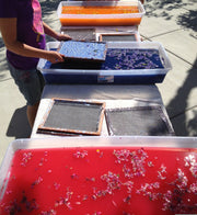 July 17: Paper Making from Pulp