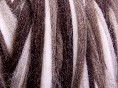 Corriedale Stripey Natural Fusion Sliver by Ashford