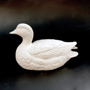 Detailed Duck