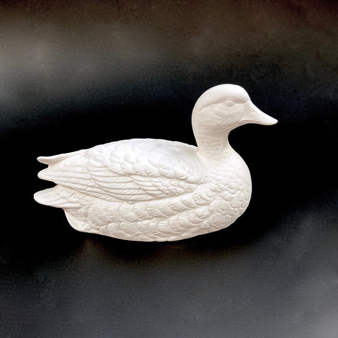 Detailed Duck