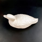 Detailed Duck