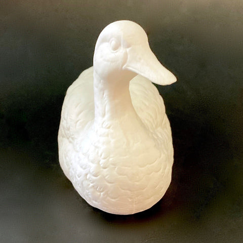 Detailed Duck