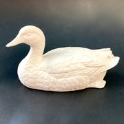 Detailed Duck