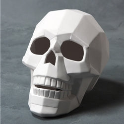 Faceted Skull