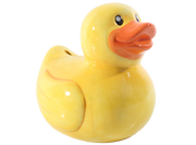 Rubber Ducky Bank