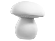 Whimsy Mushroom