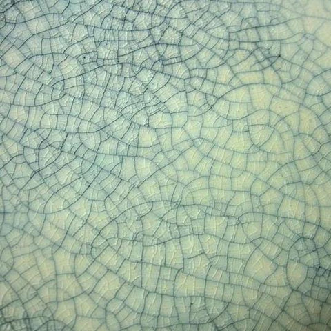 Cicada Crackle by Georgies