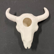 Medium Steer Skull