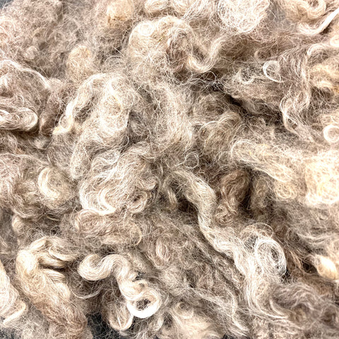 Natural Grey Undyed Wensleydale Locks