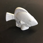 Small “Dory” Fish